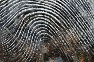 Full frame shot of feather