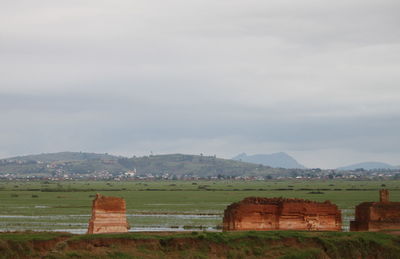 environment