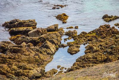 High angle view of rocks on beach