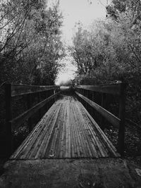 Railing on wooden walkway