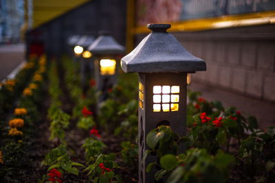 Close-up of illuminated lantern in garden