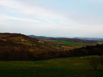 Scenic view of grassy field