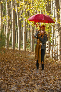 Rear view of woman with umbrella standing in forest