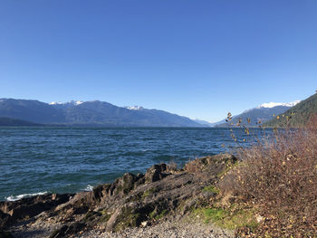 Scenic view of sea against clear blue sky