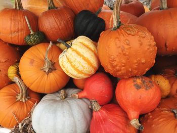 Full frame shot of pumpkins in market for sale