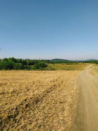 Scenic view of a country road in russia