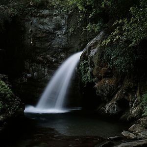 Waterfall in forest