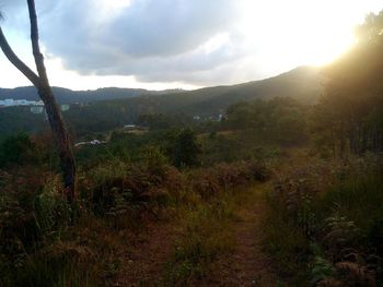 Scenic view of landscape against sky