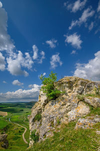 Plants growing on land against sky