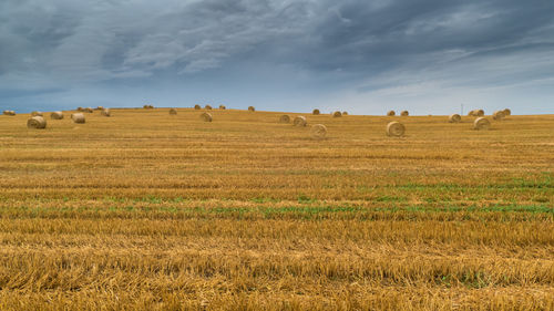 Hay bales on field against sky