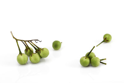 Close-up of fruits against white background