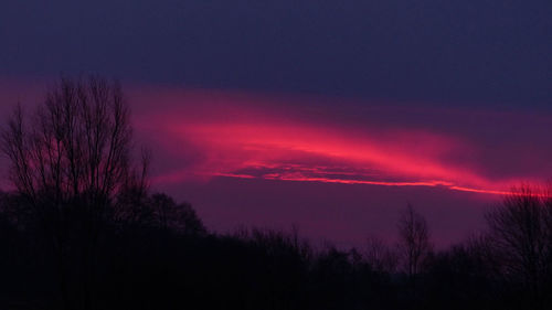 Silhouette of trees against dramatic sky