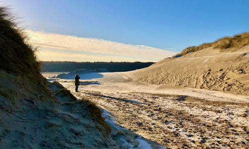 Early winter sun shines on a landscape with dunes between which someone is looking with binoculars