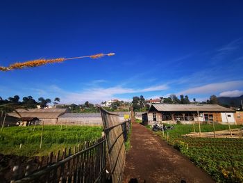 Scenic view of residential buildings against blue sky