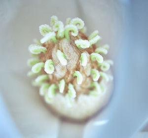 Close-up of bread on table