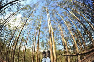 Low angle view of boy in forest against sky