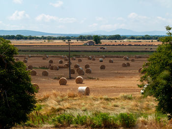 Hay bales on field against sky