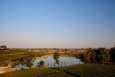 Scenic view of field against clear blue sky