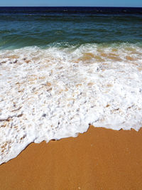 Scenic view of beach