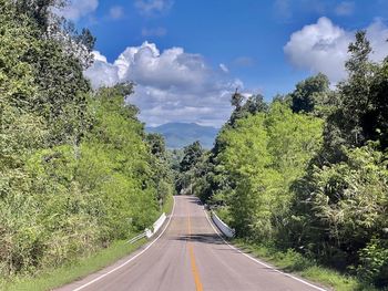 Road amidst trees against sky