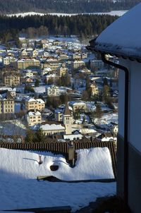 High angle view of birds in winter