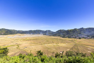 Scenic view of field against clear blue sky