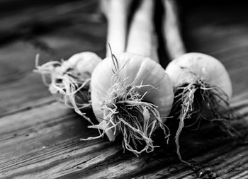 Close-up of scallions on table