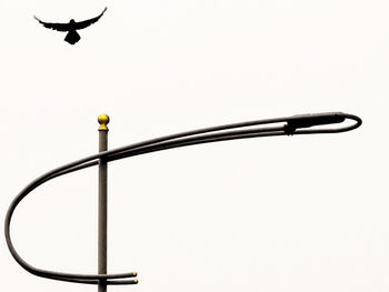 A bird was flying over street lamp post. 