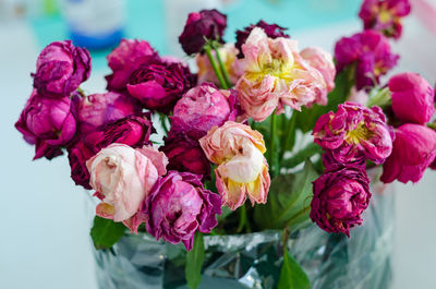 Bouquet of withered roses in a vase