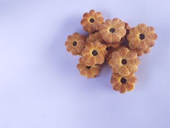 High angle view of cookies