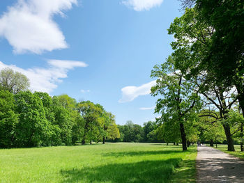 Trees growing on field against sky