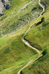 High angle view of trekking path against field