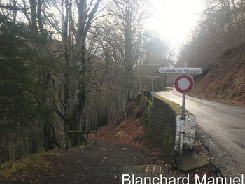 Road sign by trees