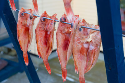 Red fish hanging to dry at a local market in otaru, japan