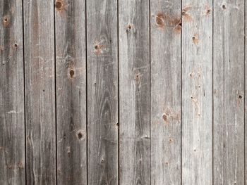 Close-up of wooden plank