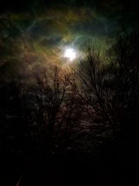 Low angle view of silhouette bare trees against sky