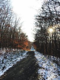 Snow covered road amidst trees against sky during winter