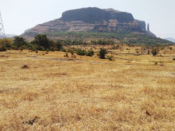 Scenic view of landscape against clear sky