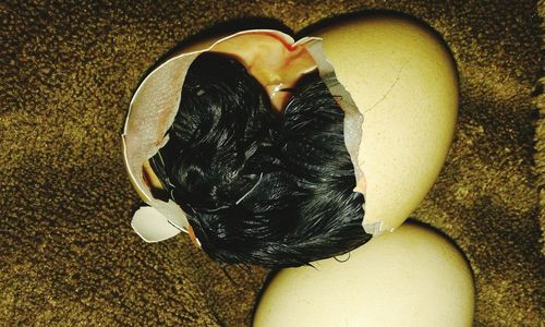 Close-up of food on table