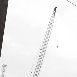 Low angle view of crane against sky