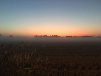 Scenic view of field against sky during sunset