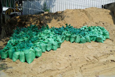 Green sandbags on field