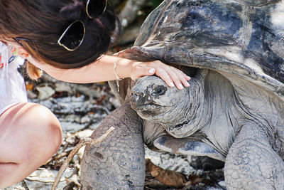 Woman petting a giant tortoise.