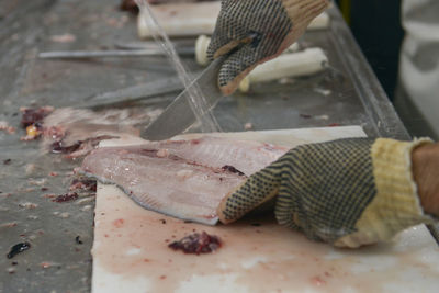 Close-up of hand holding fish