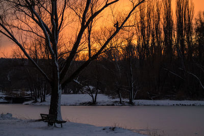 Bare trees on snow covered landscape during sunset