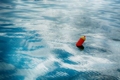 High angle view of duck swimming in water
