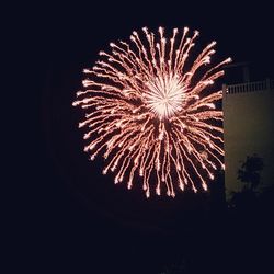 Fireworks exploding in night sky