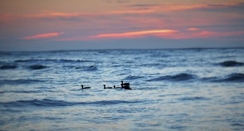 Boat sailing in sea at sunset