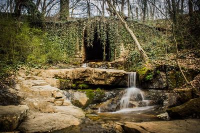 Scenic view of waterfall in forest