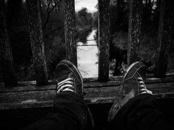 Low section of person standing on tree trunk